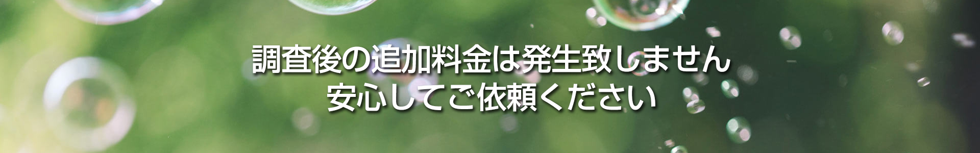 調査料金