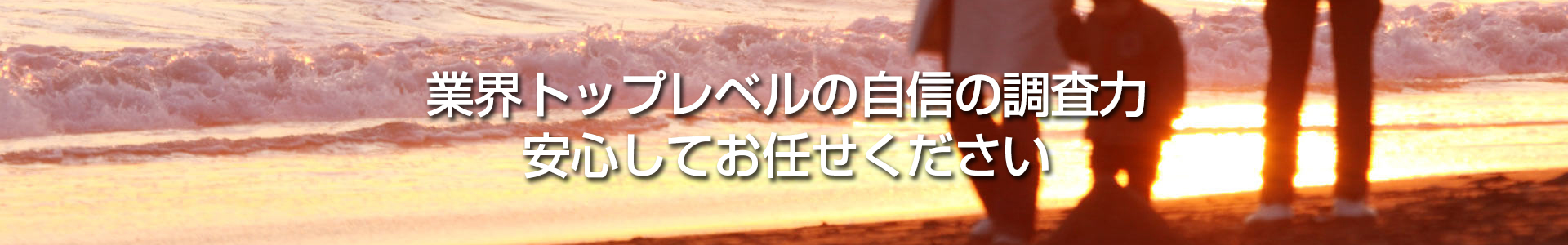 業界トップレベルの自信の調査力 安心してお任せください