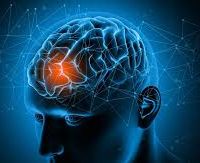 不倫を脳科学で検証する
