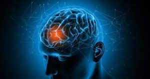 不倫を脳科学で検証する